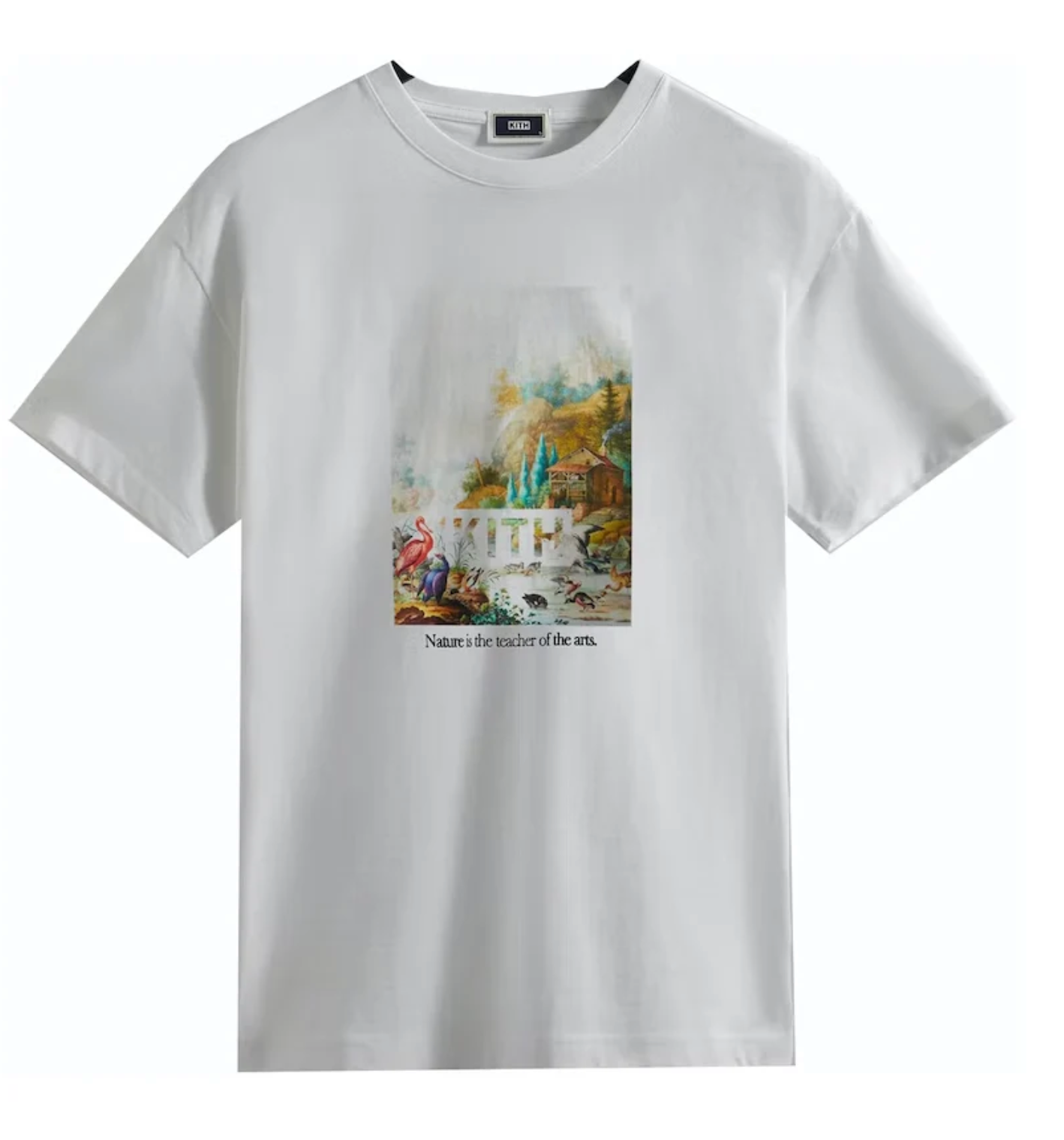 Kith Art Of Nature Vintage White